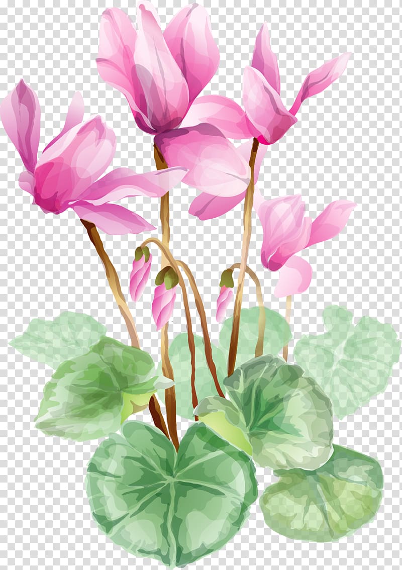 Flower , lotus transparent background PNG clipart