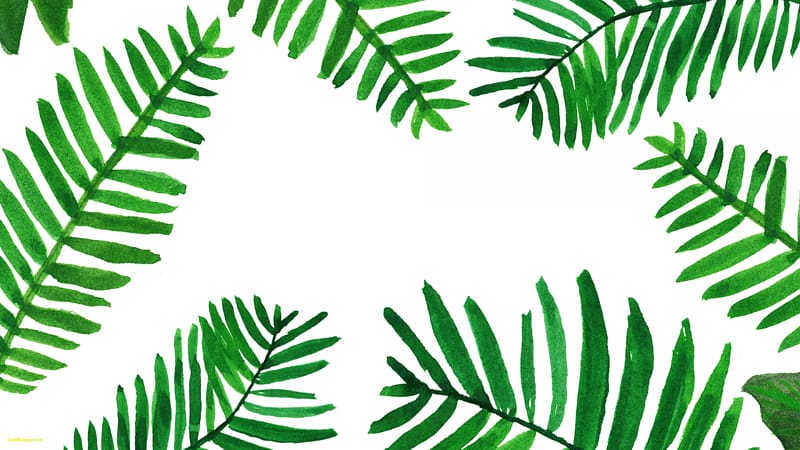 green leaves on white background, Desktop Palm branch Leaf Arecaceae Desktop Computers, palm leaves transparent background PNG clipart