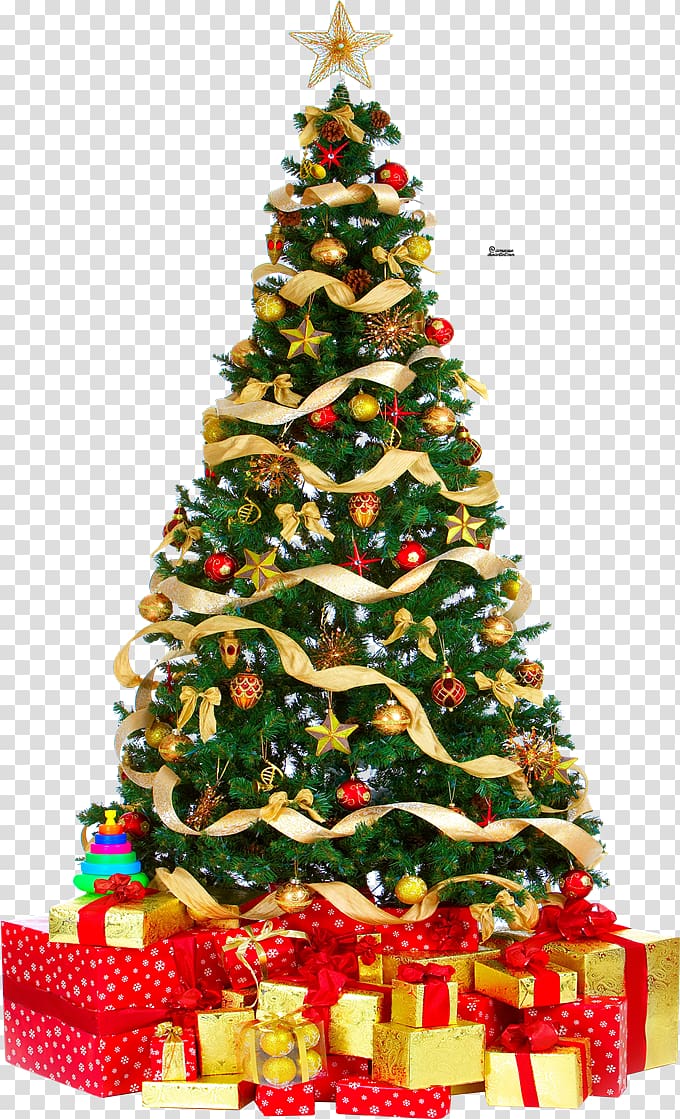 Christmas tree Christmas lights, Christmas Tree Free transparent background PNG clipart