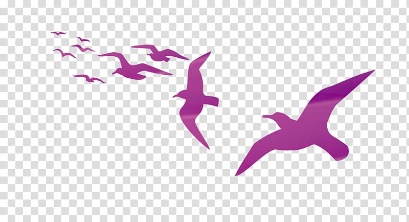 purple flying birds