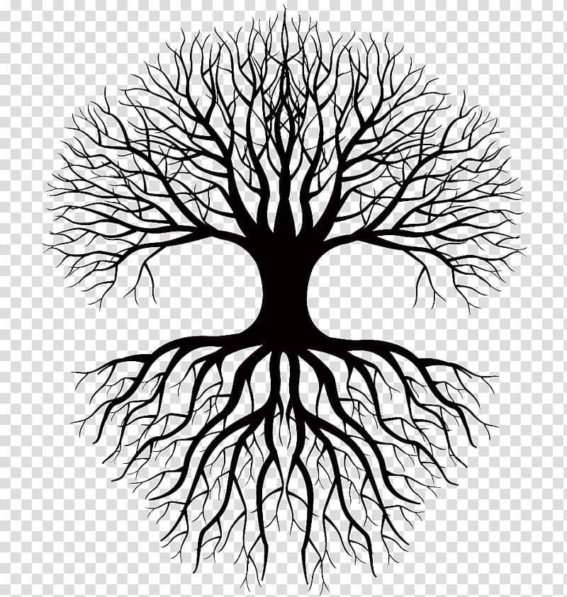tree roots silhouette png