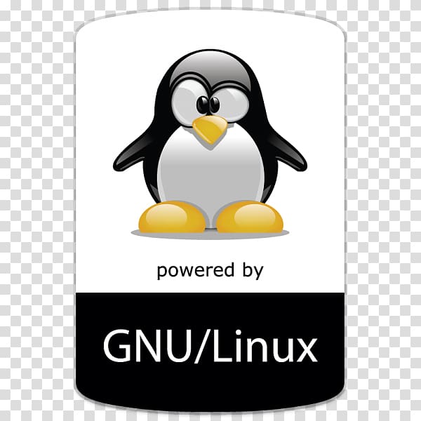 Google Penguin Google Panda Search engine optimization , linux transparent background PNG clipart
