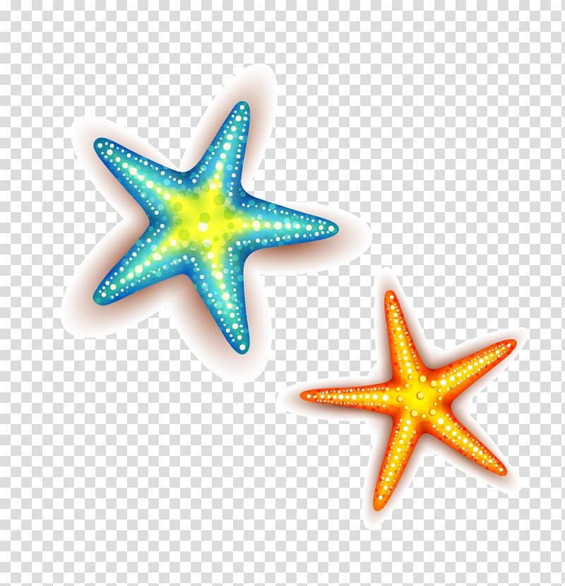 Euclidean , starfish transparent background PNG clipart