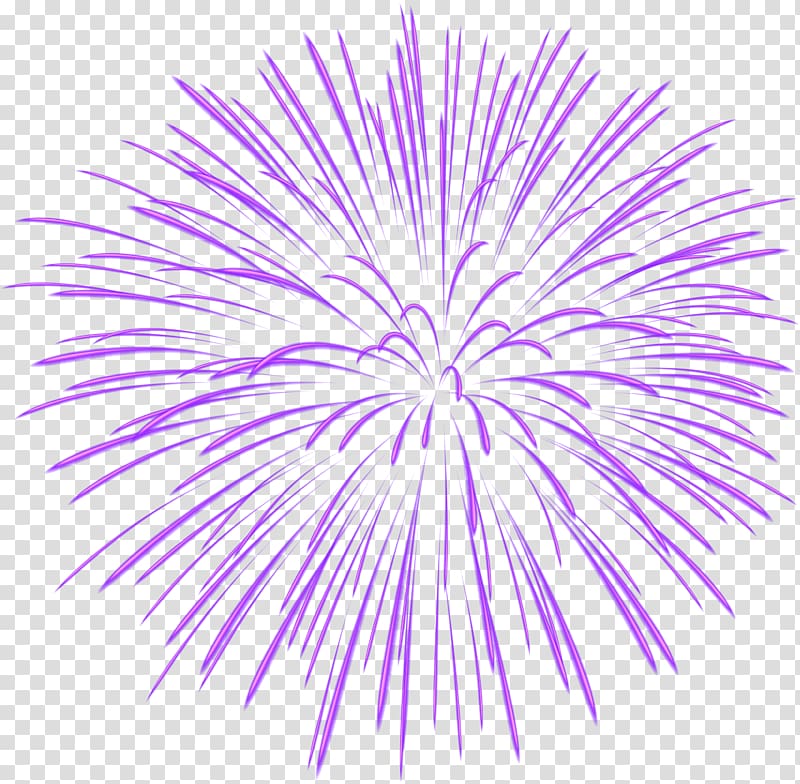 purple fireworks, Fireworks , Purple Firework transparent background PNG clipart