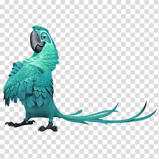 Blu Rio Wikia Icon, Green family parrot decorative motifs transparent background PNG clipart