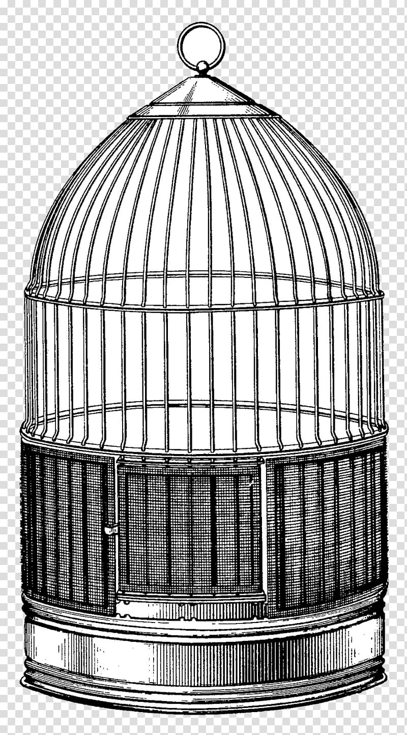 Birdcage Parrot Birds and People, bird cage transparent background PNG clipart