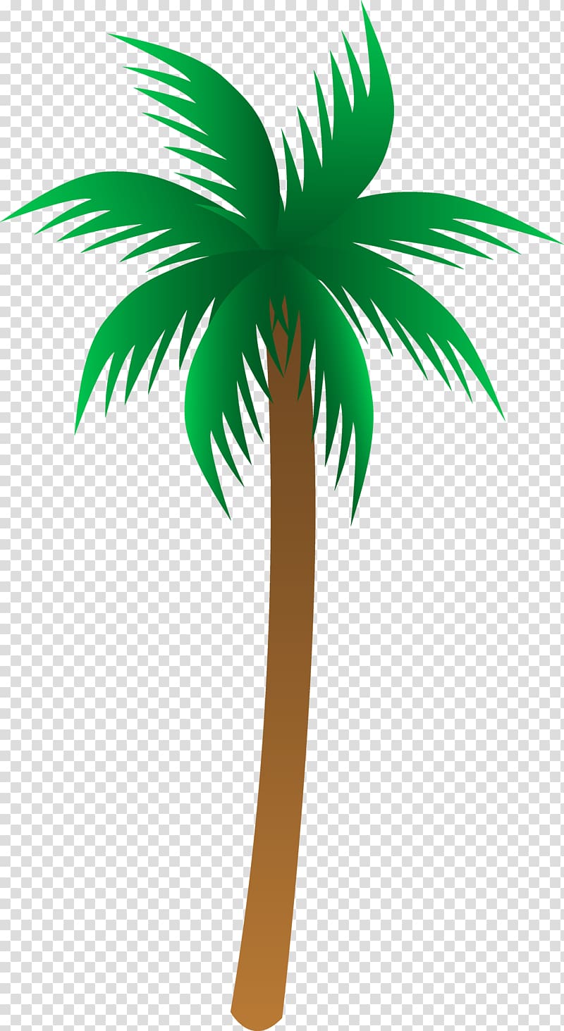 green and brown coconut tree illustration, Arecaceae Euclidean , Palm tree transparent background PNG clipart