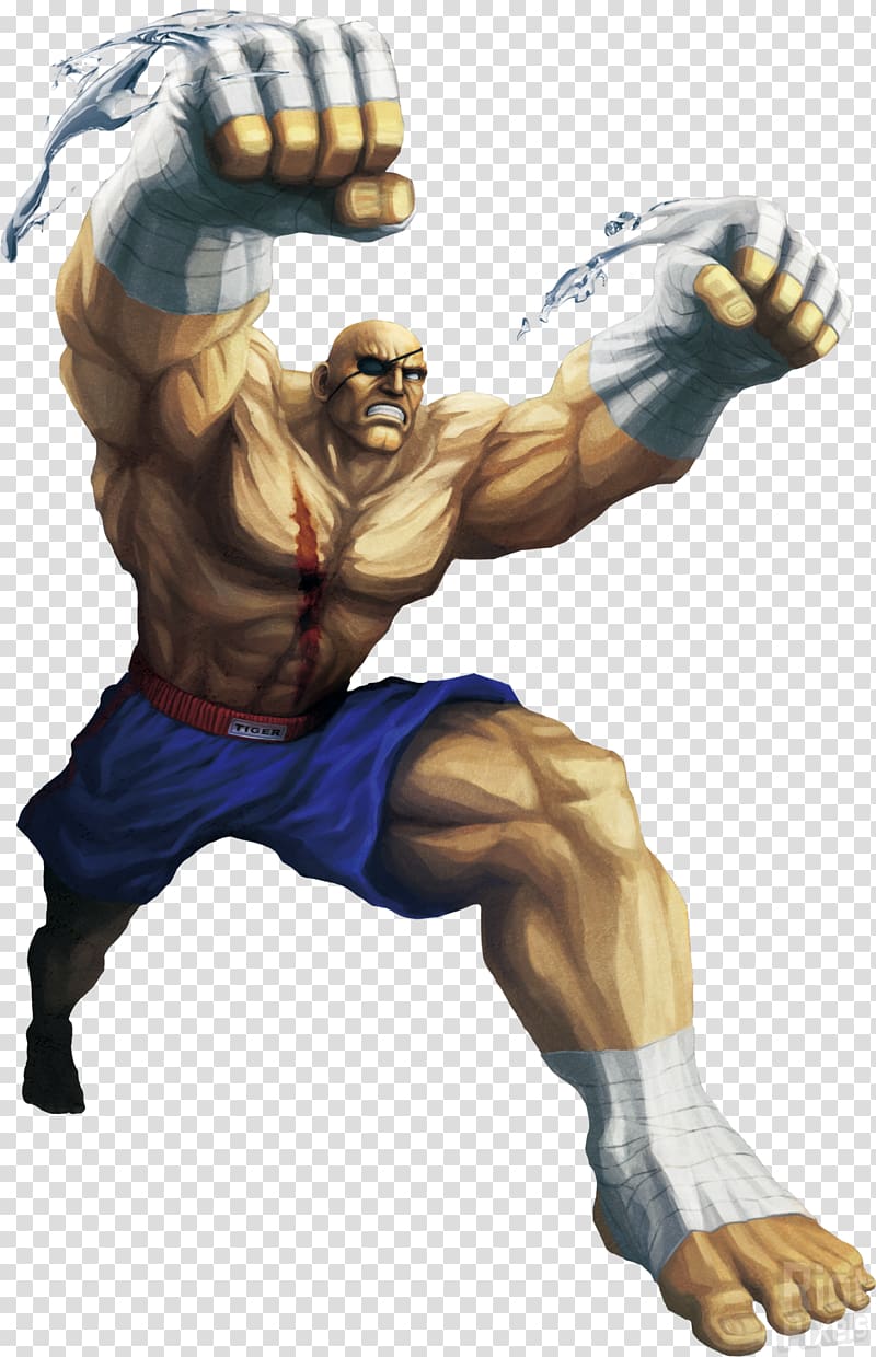 Street Fighter Sagat , Street Fighter II: The World Warrior Street Fighter X Tekken Street Fighter V Street Fighter IV Street Fighter II: Champion Edition, fighting transparent background PNG clipart
