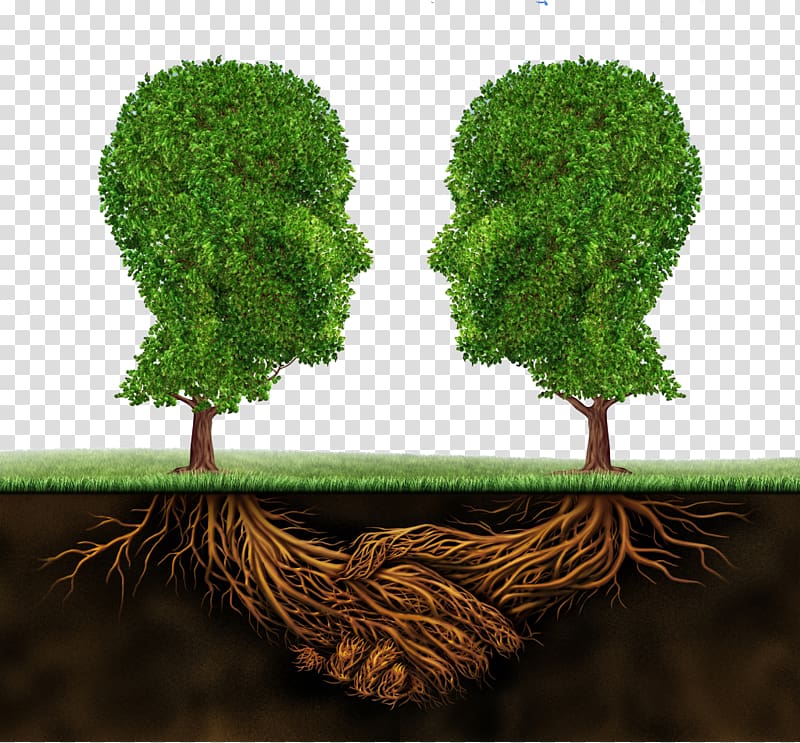 brain abstract tree transparent background PNG clipart
