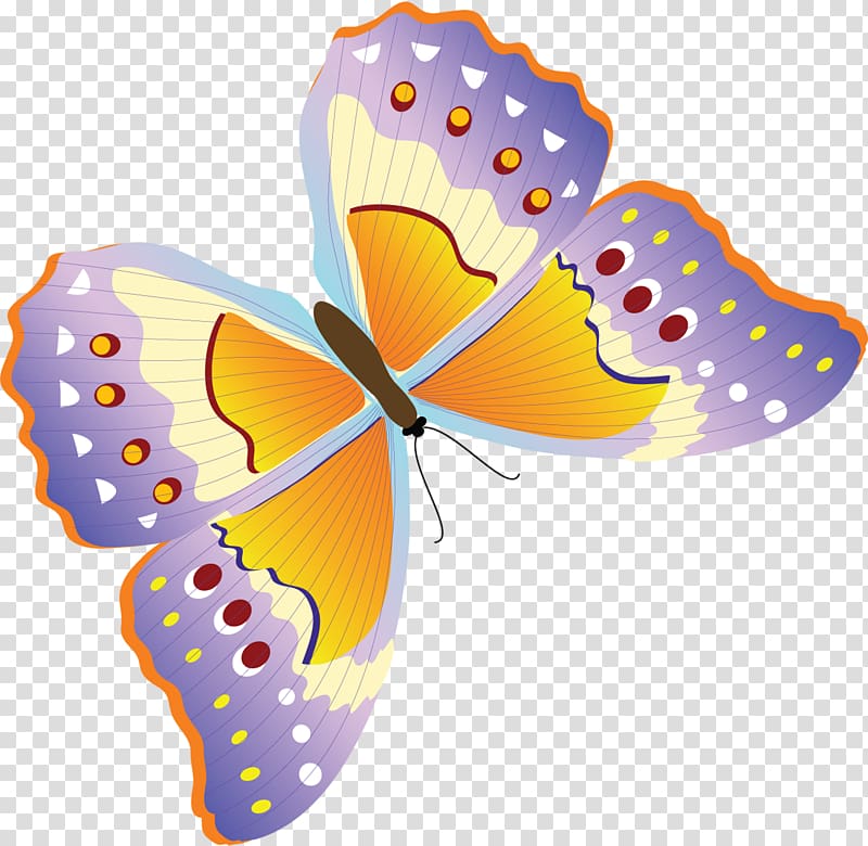 Monarch butterfly Insect Danaus melanippus Orange, buterfly transparent background PNG clipart