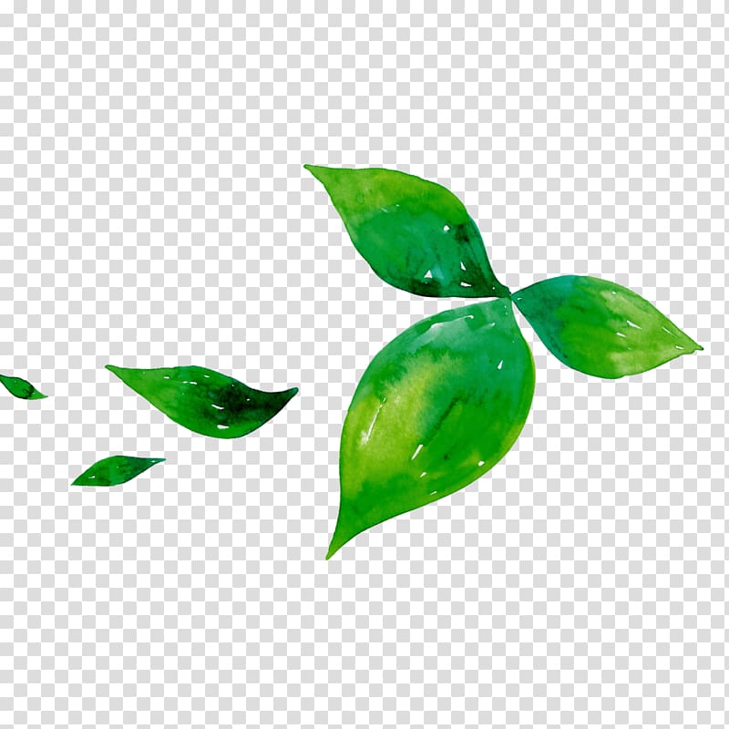green leaf illustration, Green tea Leaf Matcha, Green tea leaf transparent background PNG clipart