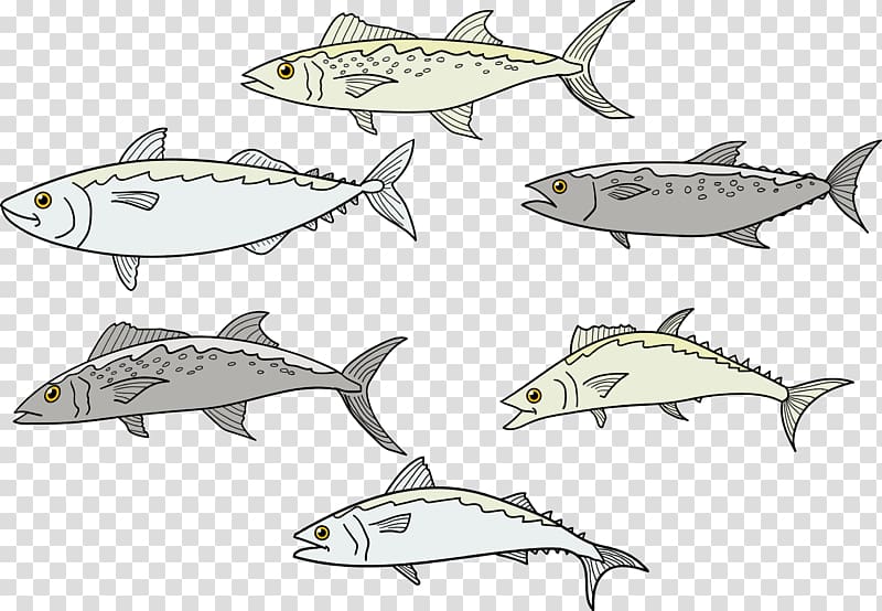 Sardine Fish Euclidean Drawing, fish transparent background PNG clipart