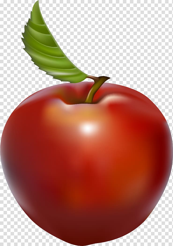 Tomato Watery rose apple Barbados Cherry, tomato transparent background PNG clipart