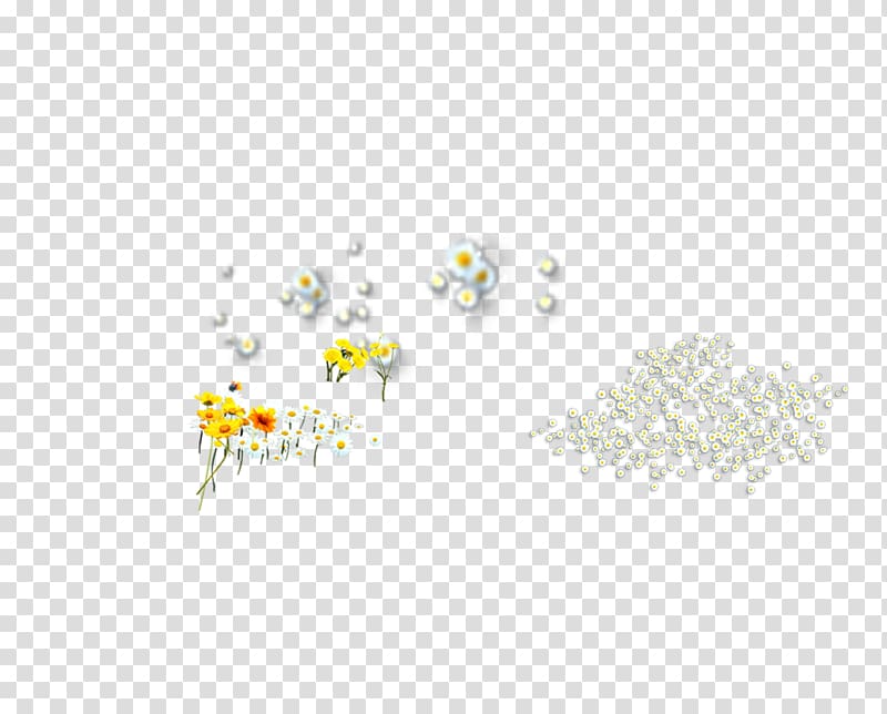 u767du83cau82b1 White Chrysanthemum Yellow Pattern, Flowers,chrysanthemum,White chrysanthemum,Yellow daisy transparent background PNG clipart