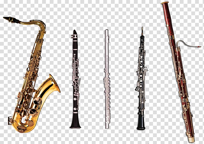 Woodwind instrument Musical Instruments Family Clarinet Brass Instruments, Clarinets Flute Oboe transparent background PNG clipart