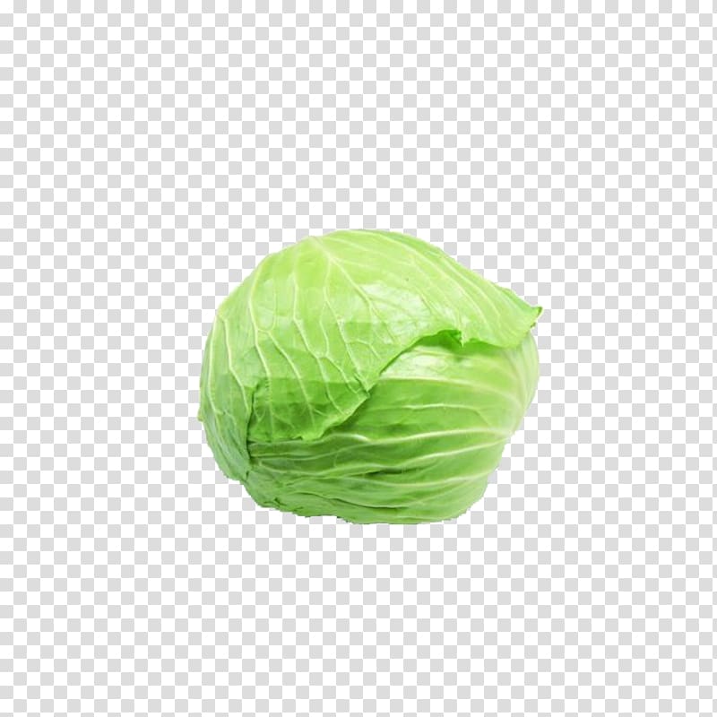 Napa cabbage Vegetable Kale Coleslaw, Fresh Kale transparent background PNG clipart