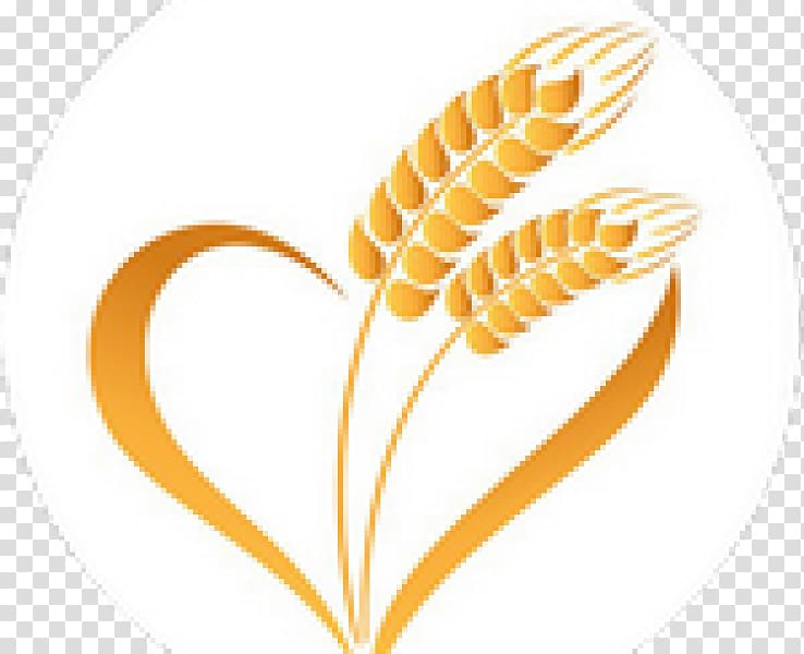 Wheat Caryopsis Ear Cereal Food grain, wheat transparent background PNG clipart