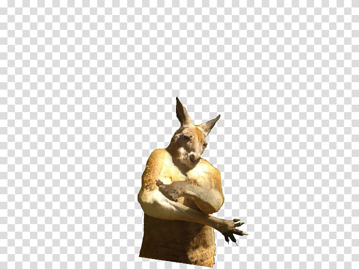 Kangaroo Gangster film, kangaroo transparent background PNG clipart