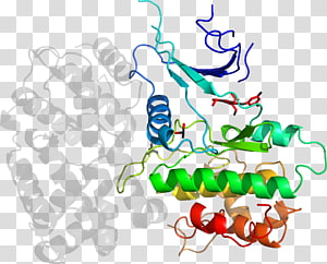 Line Point Organism , line transparent background PNG clipart thumbnail