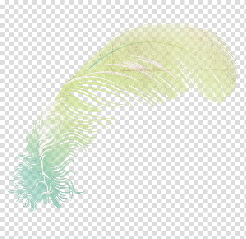Feather Wing Illustration, Color Wings,Fantasy Feather transparent background PNG clipart
