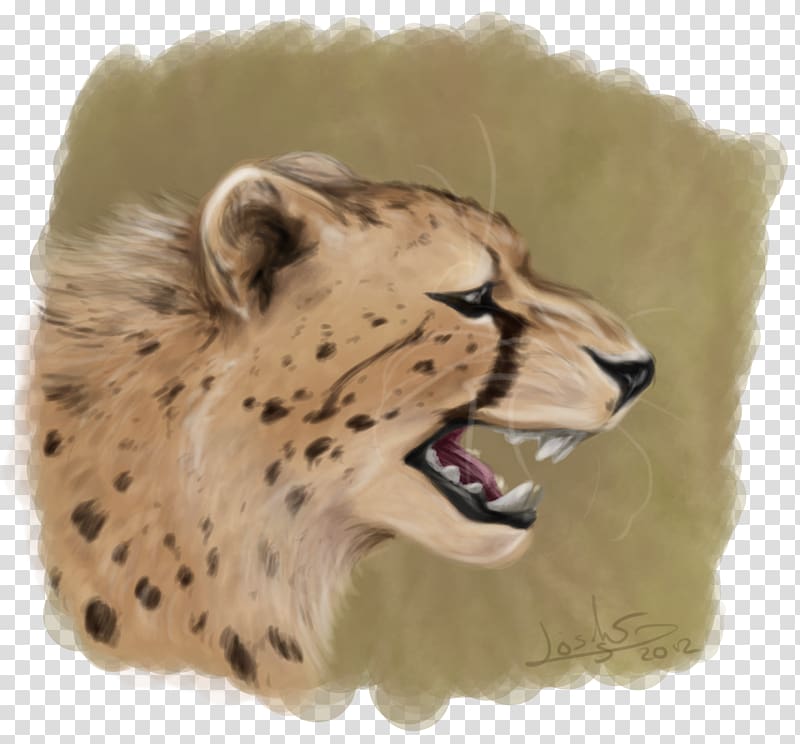 Cheetah Whiskers Cat Snout Fur, Cheetah Conservation Fund transparent background PNG clipart