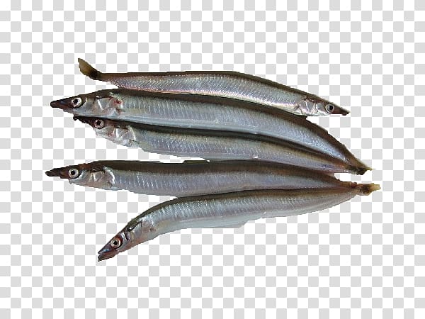 Sardine Pacific saury Fish products Anchovies as food Oily fish, Bamboo Shoot transparent background PNG clipart