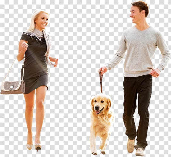 Puppy Great Dane Purebred dog Dog walking Woman, puppy transparent background PNG clipart