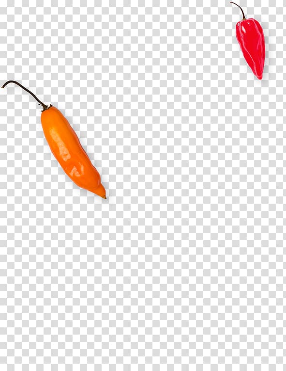 Chili pepper, fallings angels transparent background PNG clipart