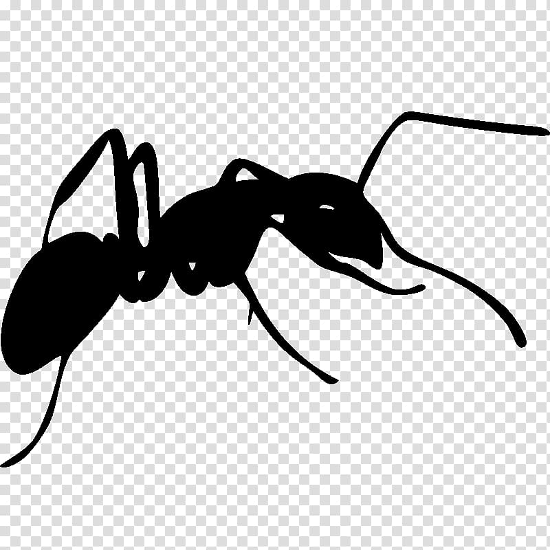 Ant Silhouette , Silhouette transparent background PNG clipart