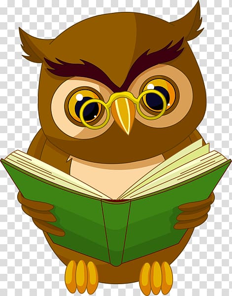 Owl Book Reading , owl transparent background PNG clipart
