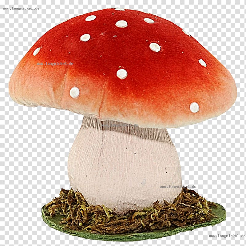 Amanita muscaria Fungus Edible mushroom Ausführungen Orange, mush transparent background PNG clipart