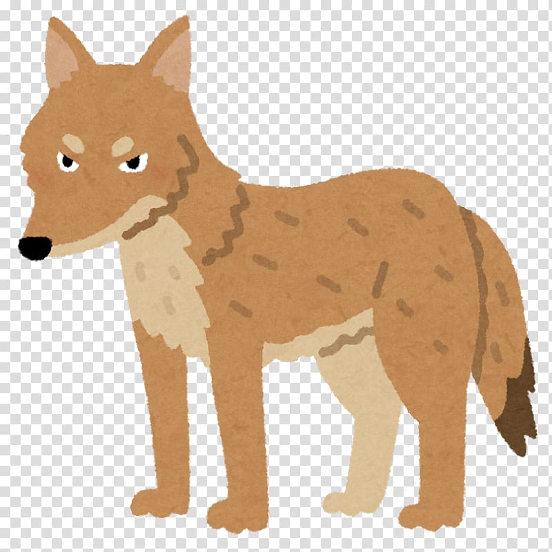 Coyote Dog Search Engine Optimization Dhole Red fox, dog transparent background PNG clipart