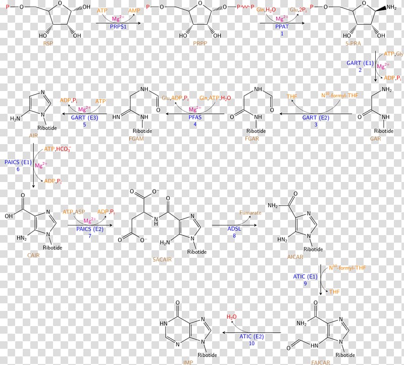 Chemical synthesis Biosynthesis Aqueous solution Solid-phase synthesis, enzyme transparent background PNG clipart