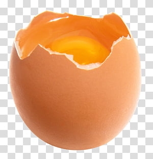 Broken Egg PNG Clip Art - Best WEB Clipart