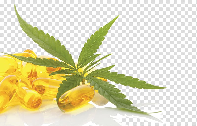 Hemp Cannabidiol Legality of cannabis by U.S. jurisdiction Medicine, cannabis transparent background PNG clipart