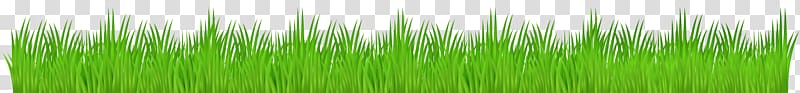 Campbell River Lviv Cermaq Youth system Grasses, cartoon grass transparent background PNG clipart