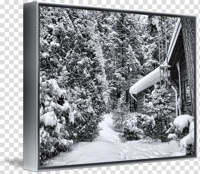 Tree Frames Snow White Dagens Nyheter, forset cabin transparent background PNG clipart
