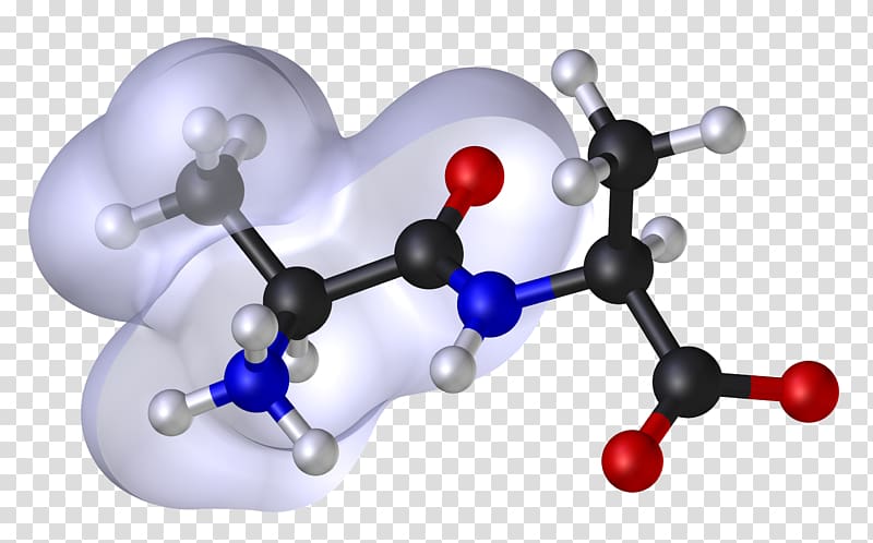Molecular modelling Molecule Chemistry Science, molecule transparent background PNG clipart