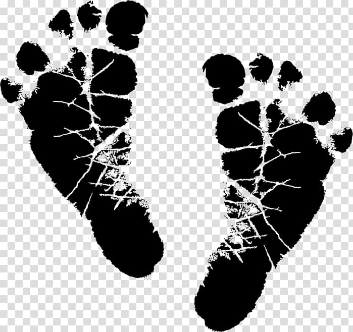 Animal track Footprint Hacker, others transparent background PNG clipart