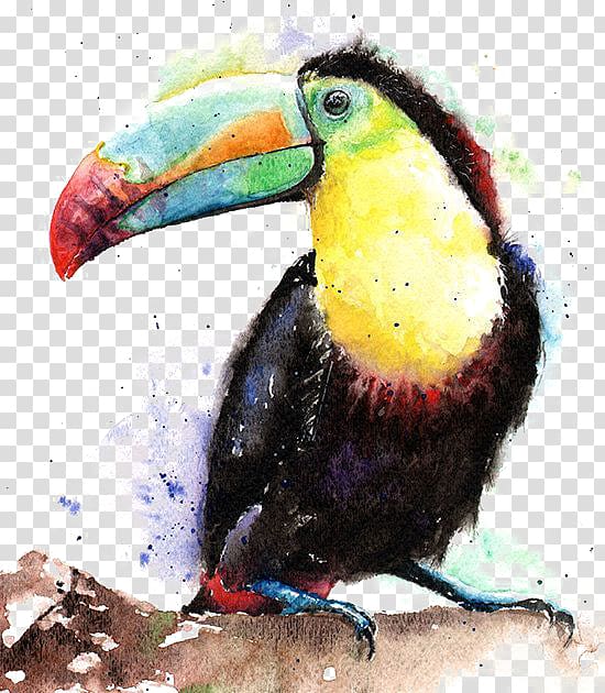 black and yellow toucan bird painting, Bird Keel-billed toucan Watercolor painting, Watercolor parrot transparent background PNG clipart