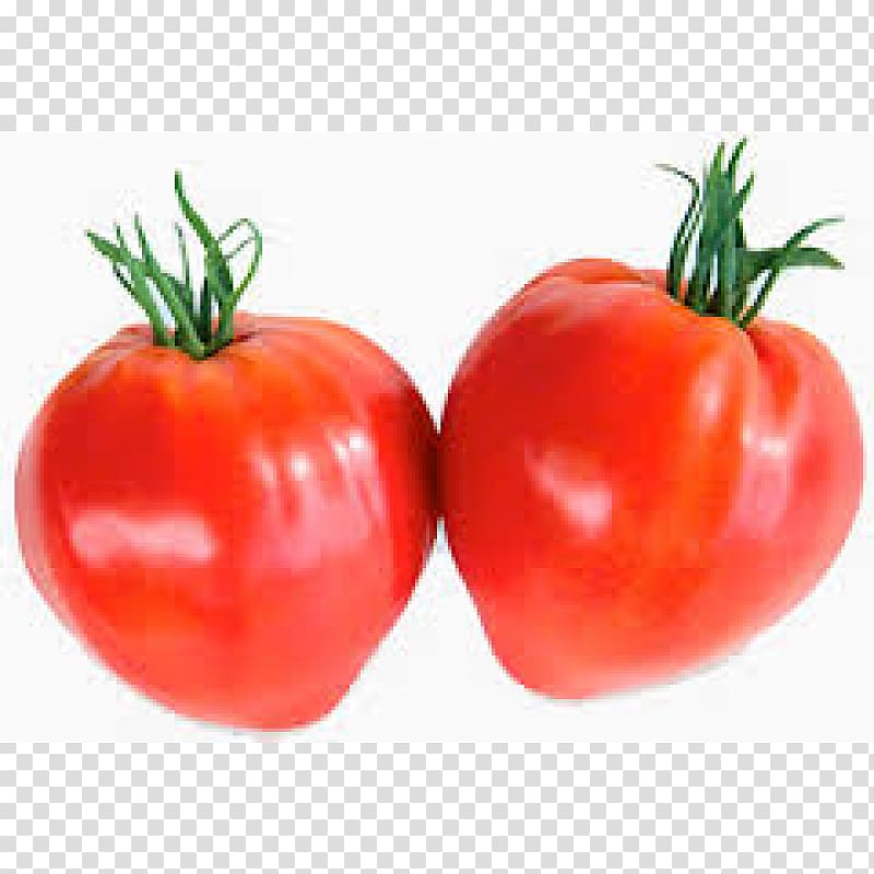 Plum tomato Bush tomato Cherry tomato Beefsteak tomato Seed, matur transparent background PNG clipart