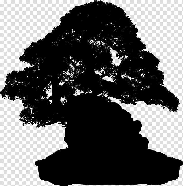 Indoor bonsai Tree Gardening , tree transparent background PNG clipart