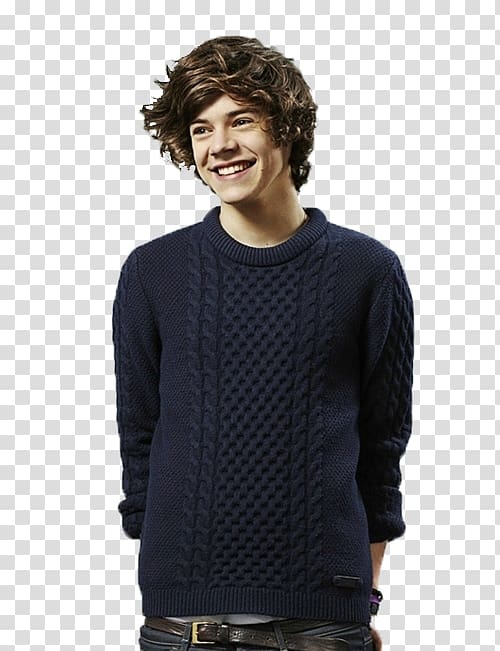 Harry Styles One Direction Flower Take Me Home, styles transparent background PNG clipart