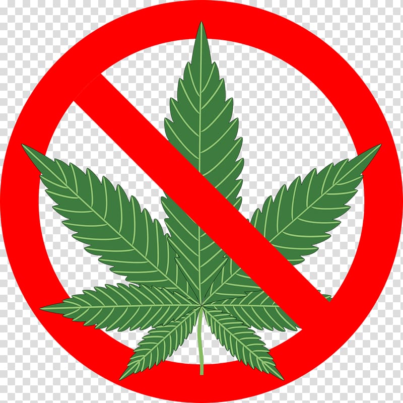 Legality of cannabis Recreational drug use Cannabis smoking, cannabis transparent background PNG clipart