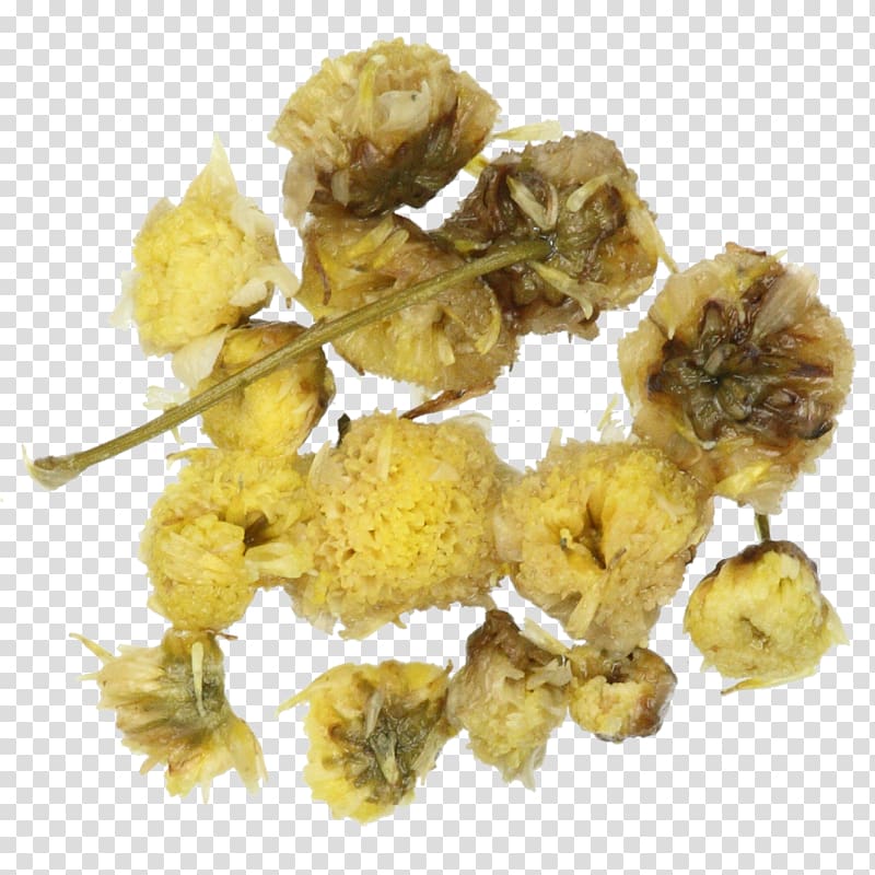 Chrysanthemum tea Turkish tea Darjeeling tea Tea plant, tea transparent background PNG clipart