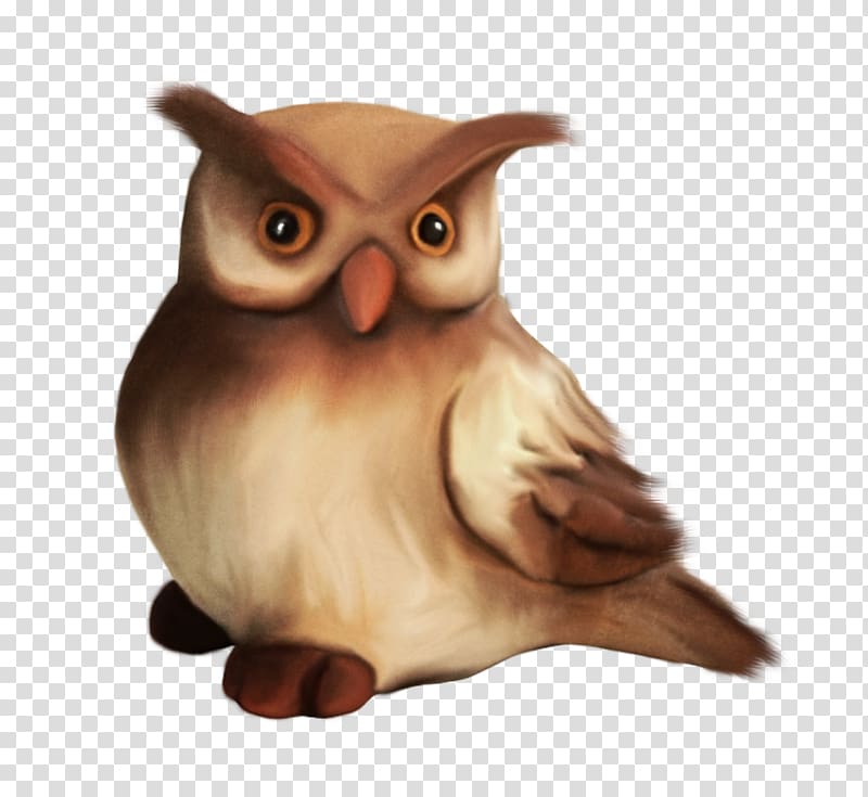 Little Owl Drawing, owl transparent background PNG clipart