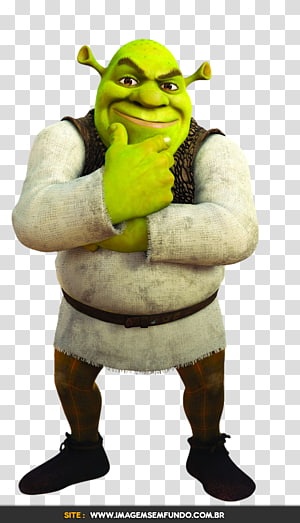 Shrek Film Series Princess Fiona Donkey PNG - Free Download