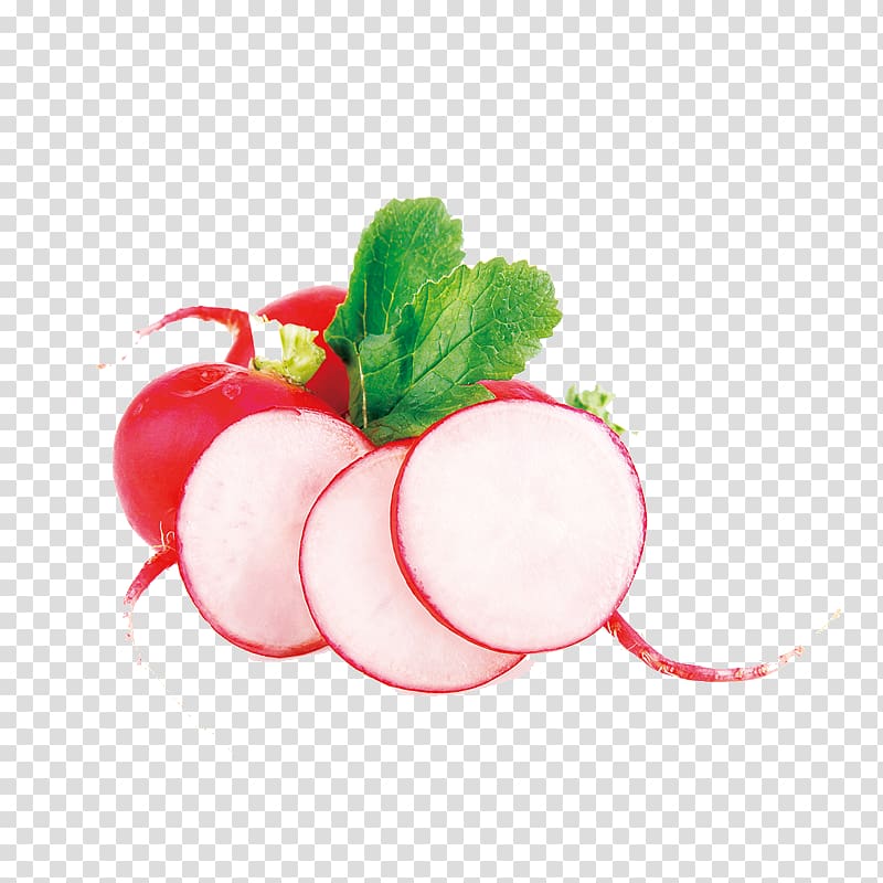 Garden radish Carrot, carrot transparent background PNG clipart