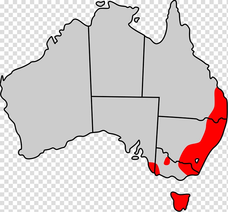 Australian Antarctic Territory Blank map Simple English Wikipedia, Australia transparent background PNG clipart