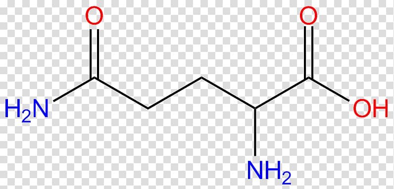 Glutamic acid Amino acid Glutamate Arginine Glutamine, others transparent background PNG clipart